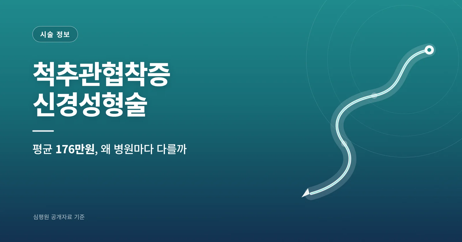 척추관협착증 신경성형술